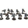 SOLAR AUXILIA VELETARIS STORM SECTION