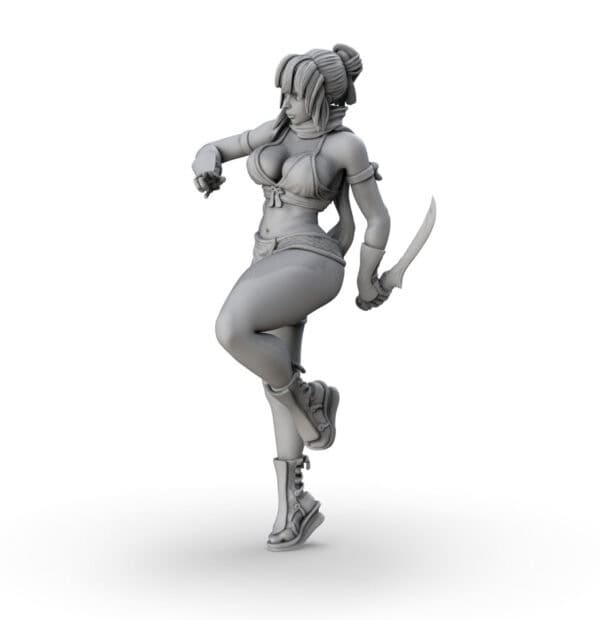 Ninja Girl - Image 2