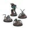Van Saar Champion in Carapace Armour with Cyberachnids