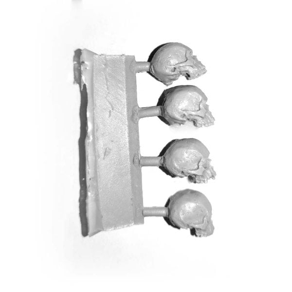 LARGE SKULLS - Image 2