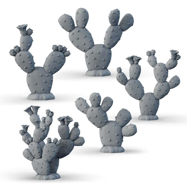 Cactuses set - Image 2