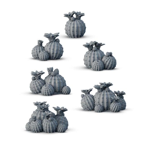 Cactuses set - Image 3