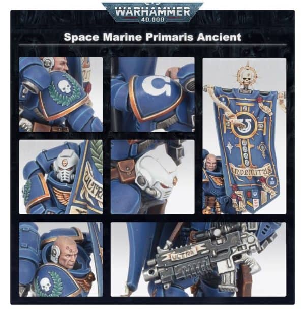 PRIMARIS ANCIENT - Image 2